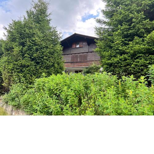 Chalet Hildegard