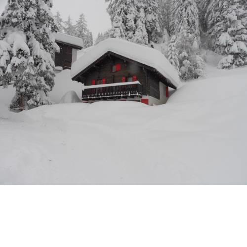 Chalet la Regin
