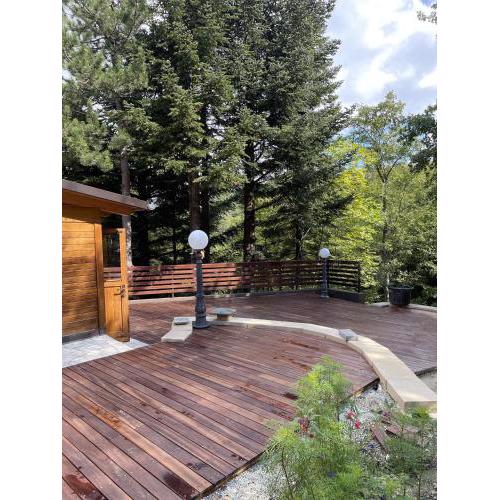 Chalet Leonard House in the wood
