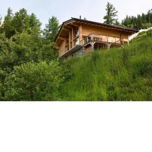 Chalet Les Etablons Luxury chalet Ski-in ski-Out