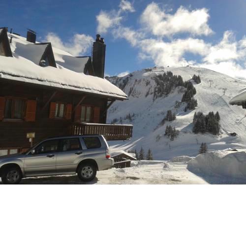 Chalet Les Rhodos 7