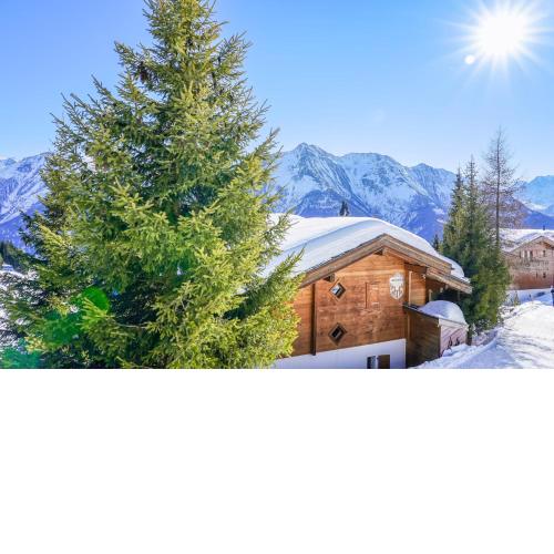 Chalet Mossegor