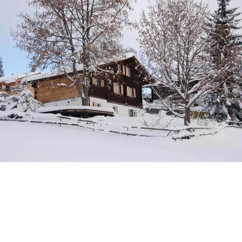 Chalet Oltschi