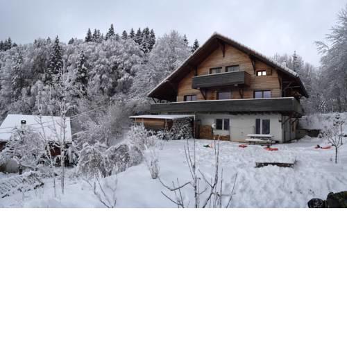 Chalet OTT - apartment in the mountains
