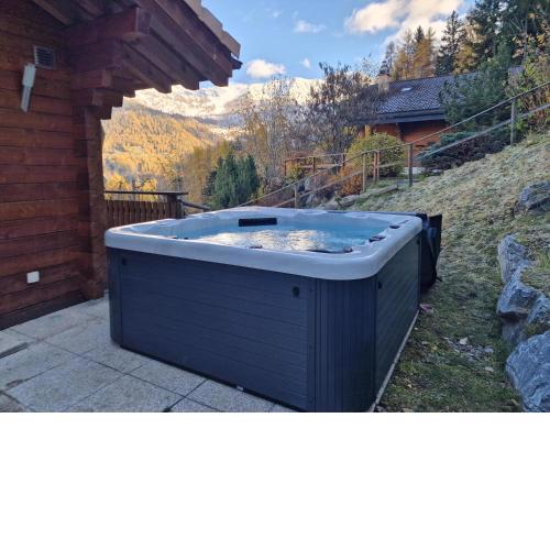 Chalet Petite Arvine