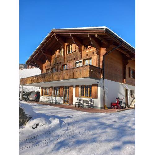 Chalet Pfyffer - Mountain view
