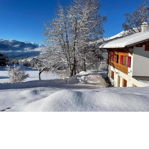 Chalet Pirraz-Parc