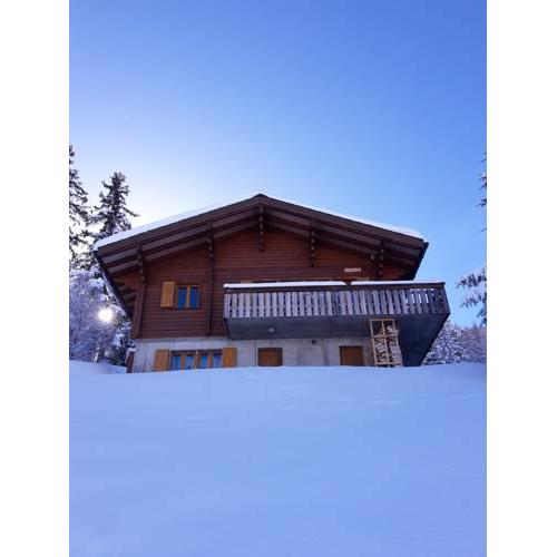 Chalet Primeli