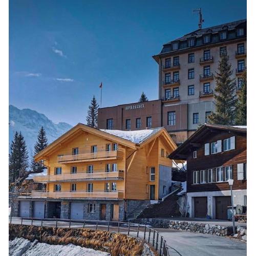 Chalet Raufthubel 2-Zi Apartment
