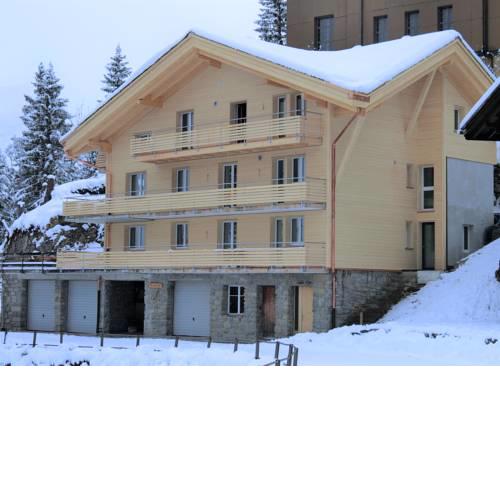 Chalet Raufthubel