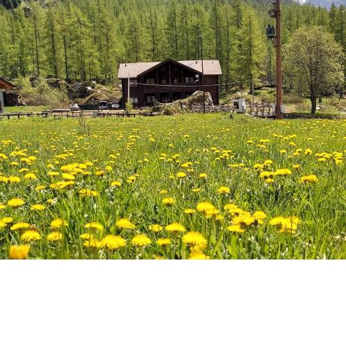 Chalet Rosa dei Monti