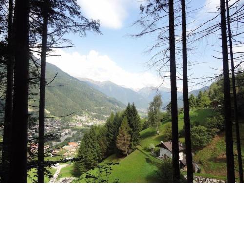 Chalet Salam (cipat: 022018-AT-835702)