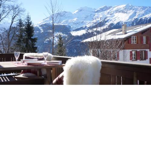 Chalet Schweizerhof 1