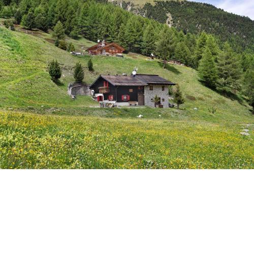 Chalet Shalom Livigno