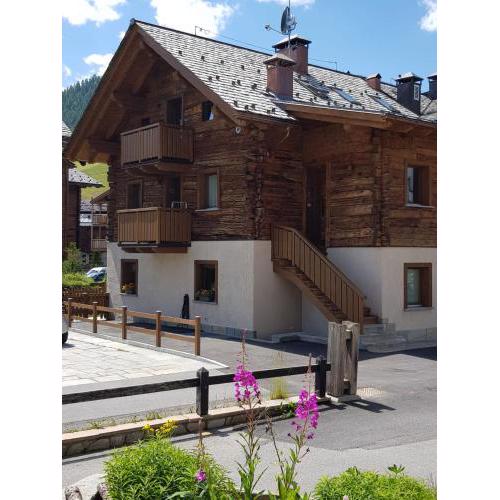 Chalet Shany
