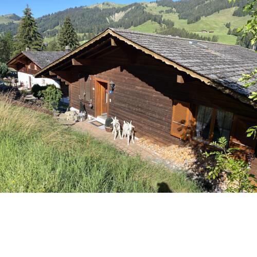 Chalet Sorgenfrei