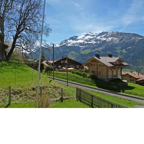 Chalet Star