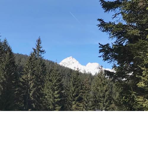 Chalet Stara Jelka Pokljuka