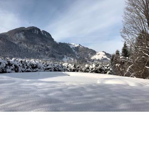 Chalet Streifblick by Home2be Kitzbühel