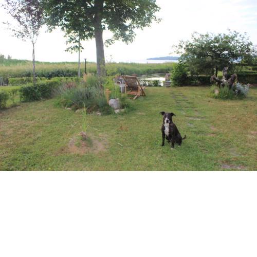 Chalet sul Trasimeno