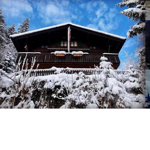 Chalet Tannegüetli