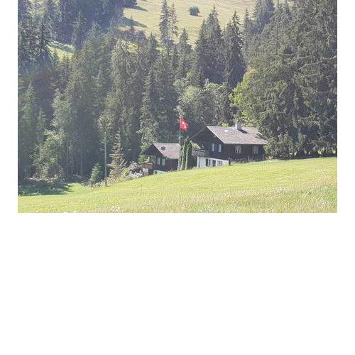 Chalet Tanzapfe