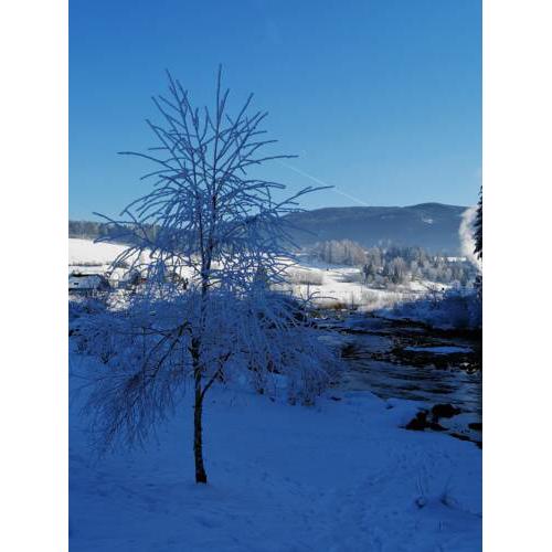 Chalet Taurachblick