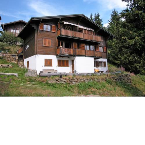 Chalet Trollius