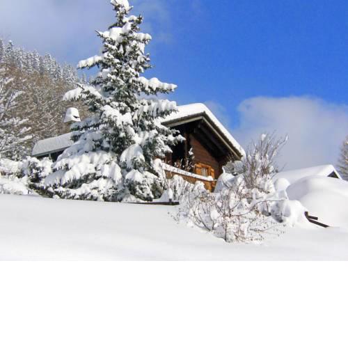 Chalet Typ C46.1