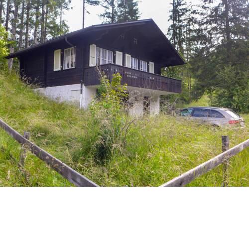 Chalet Waldhüsli