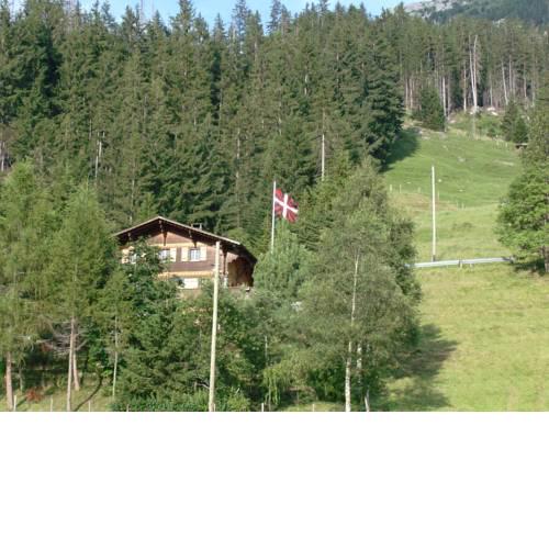 Chalet Weidli