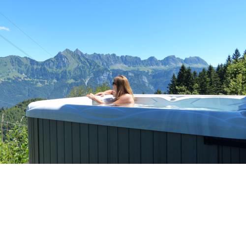 Chalet Wiesehockli