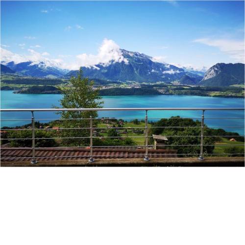 Chalet with view of the mountains and the Thun lake