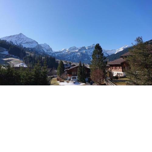 Chalet Wittebärg
