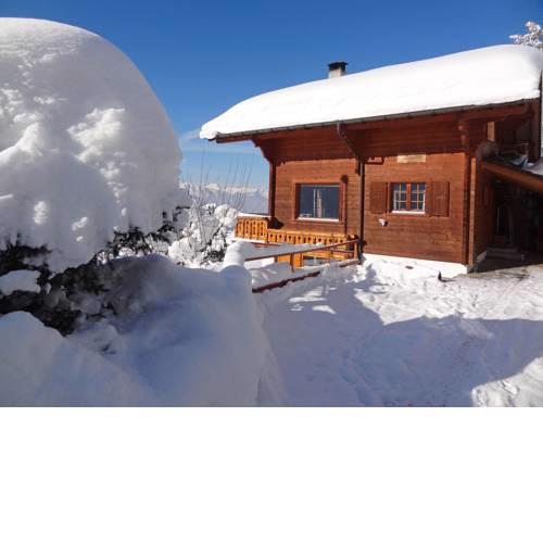 Chalet Zan-Fleuron
