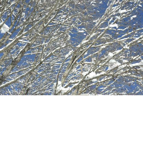 Chalet Zuckerpuppa