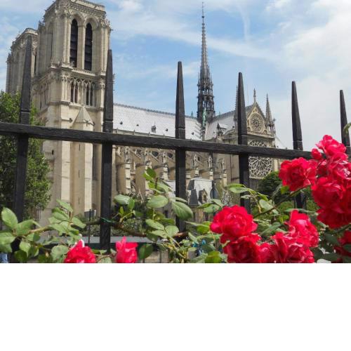 Champs Elysees - Arc de Triomphe City Studio