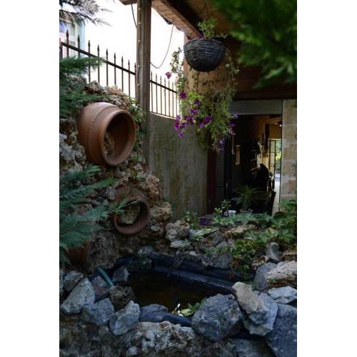 Chania Hostel & Tours