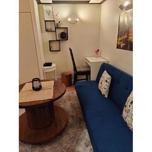 Charmant studio fonctionnel