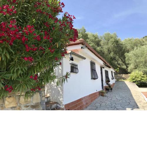 Charmantes Ferienhaus in Diano San Pietro mit Garten, Grill und Terrasse