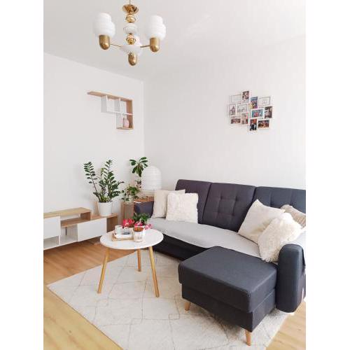 Charming 1 and half Room Apartment