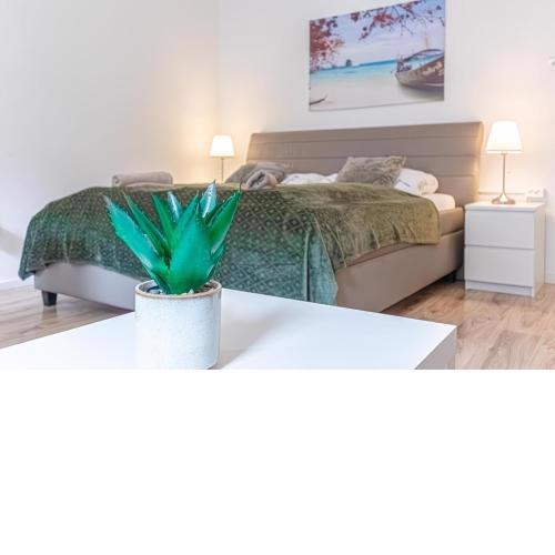 Charming 2BR Apt with Central Location In Vienna