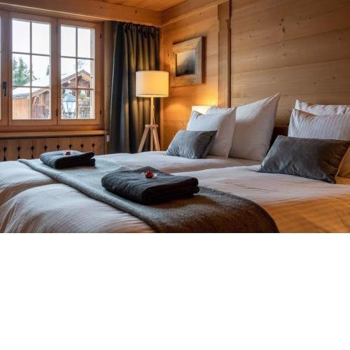 Charming Alpine Apartment Gstaad