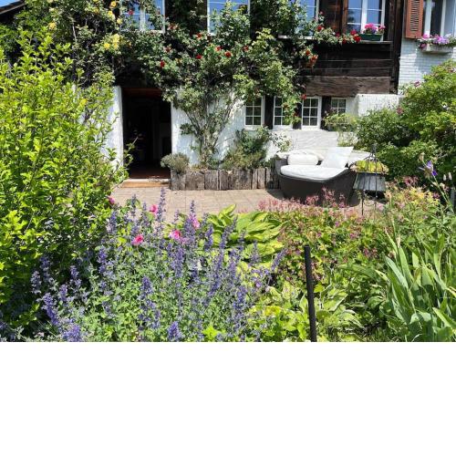 Charming alps apartment perfect for walk/cycle/ski