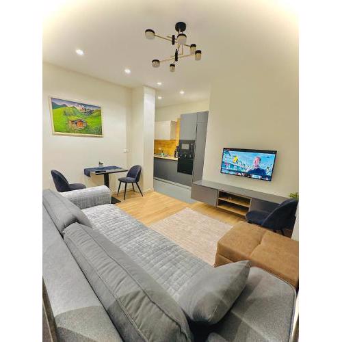 Charming and Bright Tirana Center Apartament