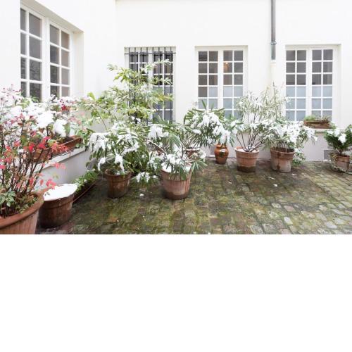 Charming Appartment in Le Marais