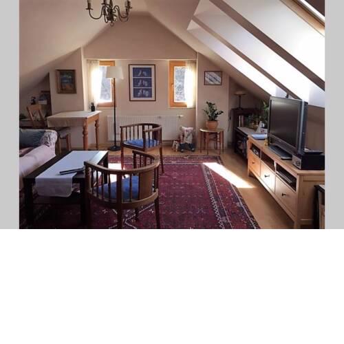 Charming attic flat, fully furnished, near Mala Strana - Andel