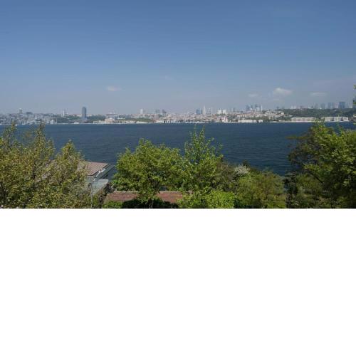 Charming Bright Panoramic Sea Views 2bd Home! #177
