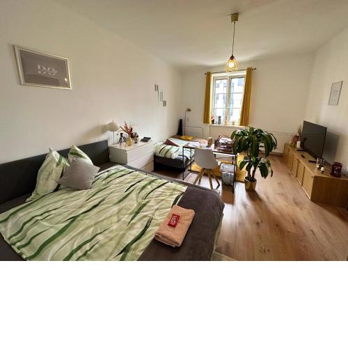 Charming Room Apartment nearDowtown