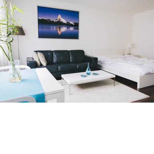 Charming Studio 3´to Limmat River with POCKET WIFI
